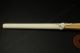 SHINAI