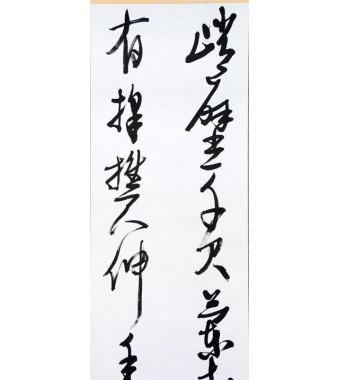 KAKEJIKU modelo 5