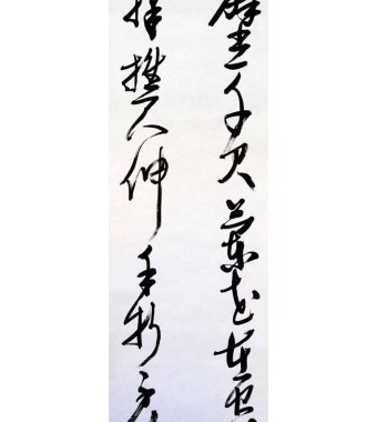 KAKEJIKU modelo 5