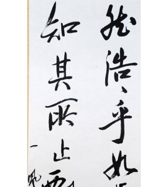 KAKEJIKU modelo 7