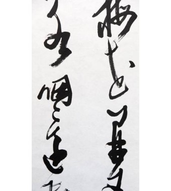 KAKEJIKU modelo 9