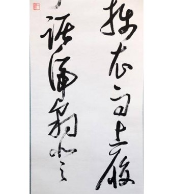 KAKEJIKU modelo 10